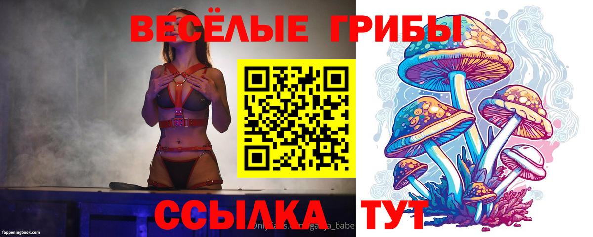 Симферополь  Галлюциногенные грибы GOLDEN TEACHER  Вход с VPN  Галлюциногенные грибы Magic Shrooms 